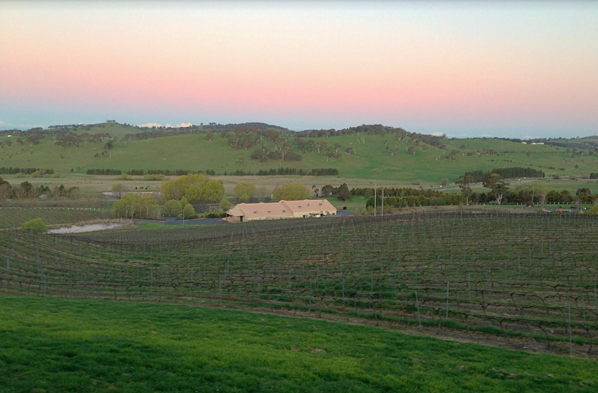 Turners Vineyard Motel Orange Exterior foto
