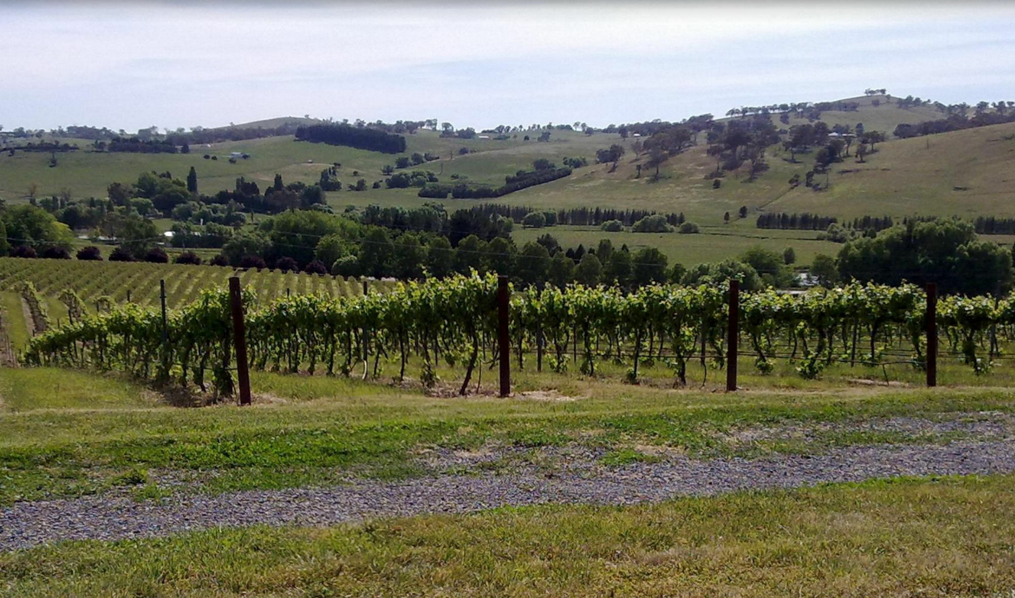 Turners Vineyard Motel Orange Exterior foto